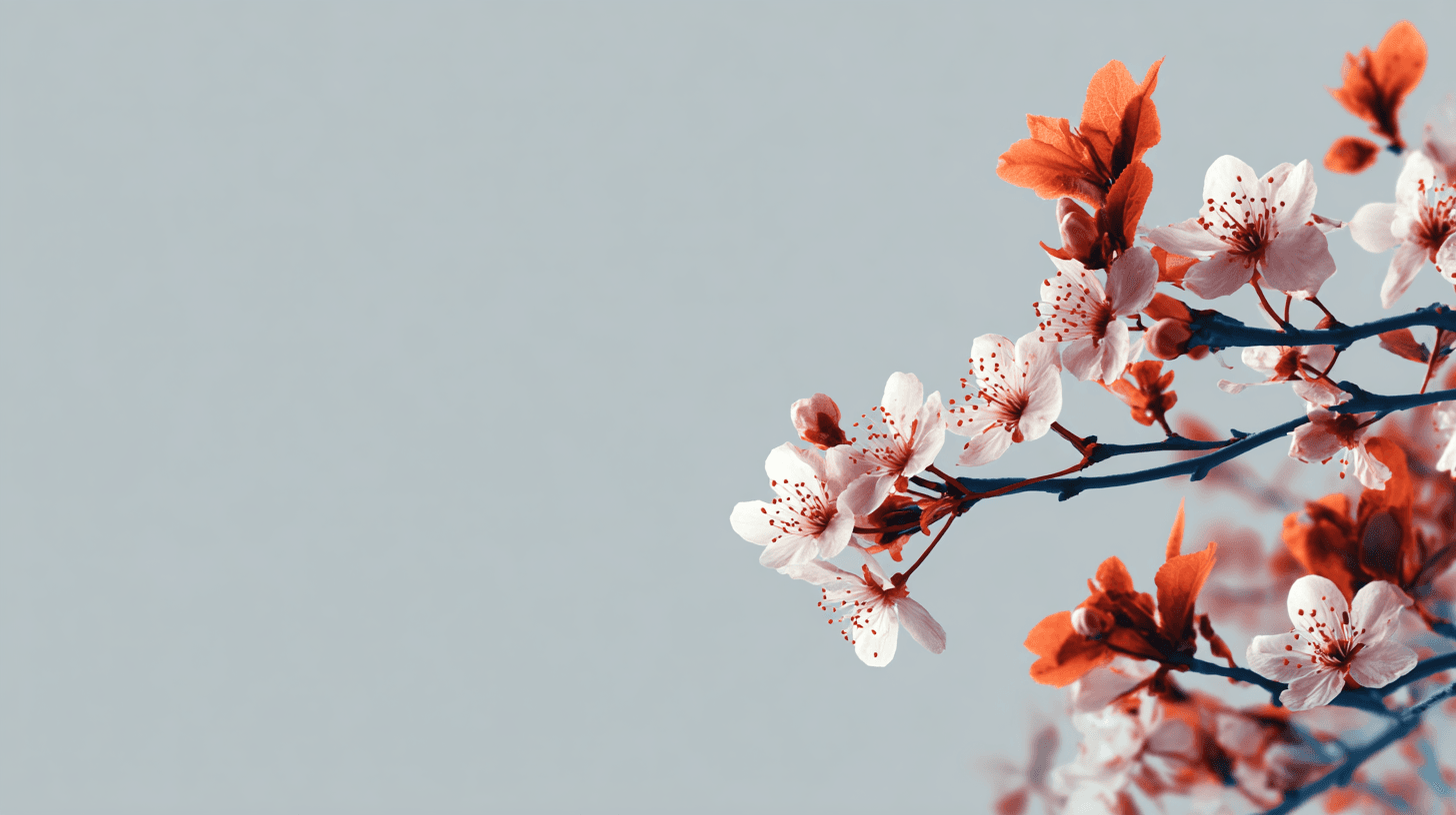 桜のミニマル